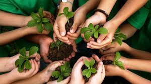 About Viva Foundation