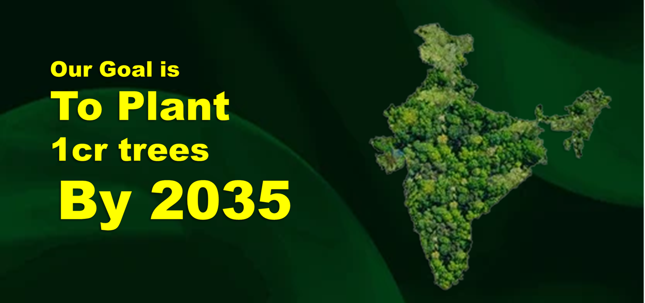 Environmental Project